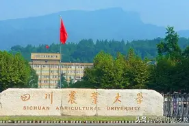 隐藏在四川的211大学——四川农业大学，它的这3类学科世界一流图片