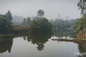 《广安记忆》——绕水而起的井河镇图片