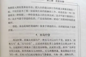 《天马行空》图片