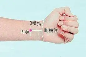内关穴和外关穴的妙用图片