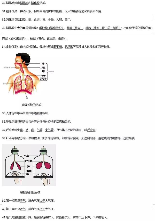 初中生物知识要点汇总，40张生物图和110个知识点，会考备考必背