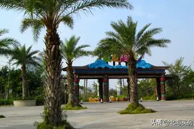 北海冠山海开发商捅了马蜂窝？正常的主张和被动的维权图片