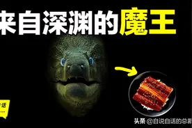 原来，你吃的鳗鱼，每一只都见过海底深渊的秘密｜自说自话的总裁图片
