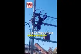 黑龙江哈尔滨一电工高压线作业不慎触电倒挂半空，消防：手指电没了，无生命危险图片