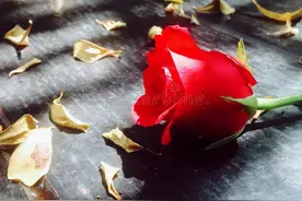女人若是拒绝你这三件事，说明她真心爱着你，别不懂图片