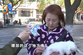 小狗腰部斑秃，主人怀疑是打疫苗引起的？图片