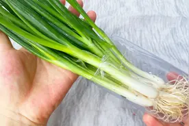 老菜农说：把香葱放进瓶子里，放一个月还鲜嫩翠绿，真的太管用了图片