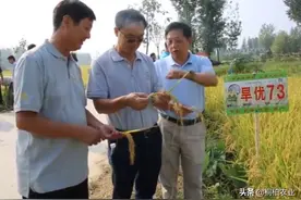 中科院院士张启发带领专家组到我县调研水稻新品种推广工作图片