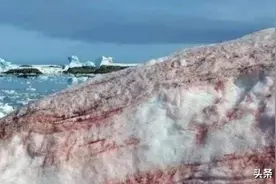 南极传来坏消息,基地周围出现了“血雪”,全球担心的事正在发生图片