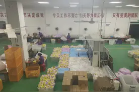 探访中国福建泉州卫生巾生产基地，老板们拼“高端”，冒牌产品为何依然畅销图片