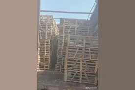 江苏南通如皋一货车运送千只猫，政府：市农业农村局与市公安局正在处理图片