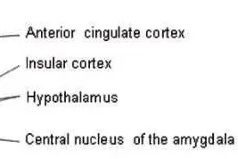 令人尴尬的尿急、尿频、尿失禁图片