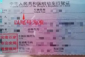 明日起，石家庄地铁邀您免费乘车啦图片