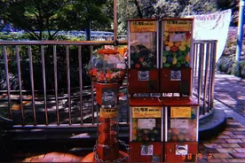 杭州有个资深亲子聚集地，游玩方式众多，被誉西湖边的游乐场图片