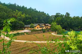 毛泽东回忆，父亲只顾自己发财，毫不顾及他人死活图片