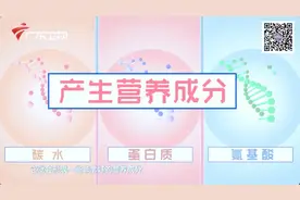 看完百岁老人的日常后，专家推荐了「长寿茶」和「健脑操」图片