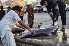 迪拜人每天都吃什么？到当地菜市场看后，网友：贫穷限制了想象力图片