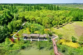 在上海这么近的地方，竟然有个“城市里的亚马孙”湿地图片