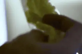 能快速燃脂也能要你命，这种被禁了80年的减肥毒药又走红了图片