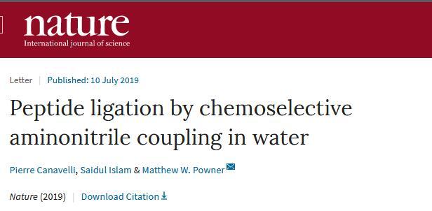 Nature重磅：肽可由非氨基酸合成，有助破解生命最初形成之谜