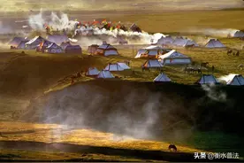 法官为什么给牦牛数牙，在山头喊话？图片