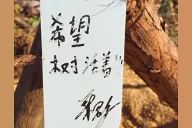 细节最能体现一个人的素质，华晨宇，温柔到了骨子里的明星图片