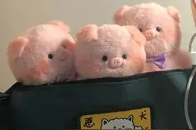 可可爱爱的网名图片