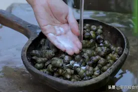 “螺蛳”将列为二级保护动物，还能好好吃螺蛳粉吗？图片