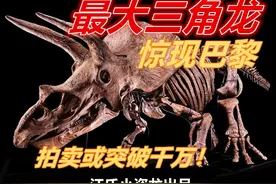 最大三角龙将被拍卖，估价超过千万图片