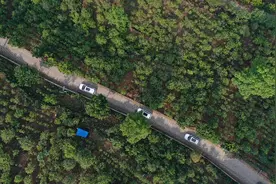 5·20我爱你，5·21=？原来，这天也是云南人的大日子图片