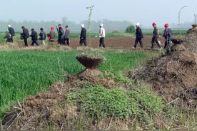 坟头枯草生，迁坟不能等，院中生枯草，搬家要趁早，是啥意思？图片