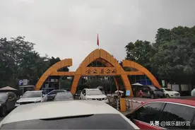 一万元一斤的金花茶，还花几千万打造了一个主题公园，里面有什么图片