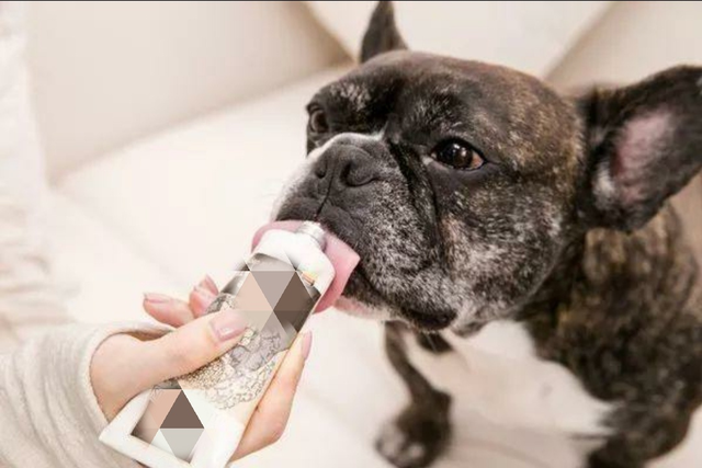 辟谣：营养膏是狗狗每天必需品，兽医：没这些疾病不需要吃营养膏
