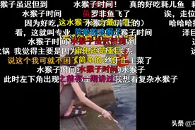 火爆抖音、B站、微博！千万顶流，疯狂打假，他终于出圈了图片