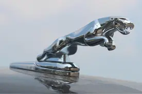 几个“动物”标志的汽车，看到请自觉避开，蹭一下就是上百万图片