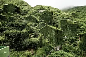 浙江舟山一“无人村”，引起英国《每日邮报》的关注，原因很梦幻图片