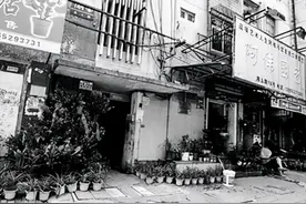 96年，丈夫因“杀妻”入狱，19年后出狱父母双亡，法院：我搞错了图片