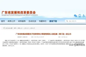 投资10亿！高州冼夫人文化小镇来啦！这个镇未来的发展势不可当图片