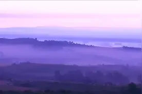 目前世界排名第一的神曲，播放量破30亿，这旋律迷人图片