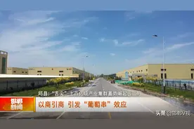 邯郸V视｜邱县：“舌尖”上百亿级产业集群蓄势崛起（二）以商引商 引发“葡萄串”效应图片