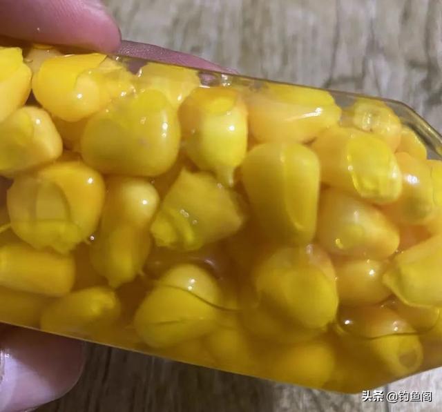 鲜玉米做钓饵这样加工一下，鱼爱吃又方便携带，不比买的差