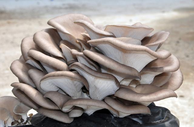 家里再穷，也要给孩子常吃它，能补充氨基酸，个子猛长不发胖！