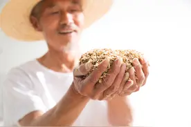 最高法院发布意见，在农村开展行动，农村3类人日子不好过了图片