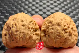 文玩核桃必须看皮质！这小核桃入您法眼没？图片