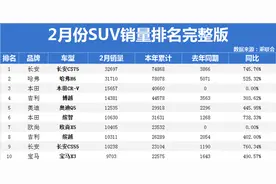 2021年2月份SUV销量排行完整版盘点 你家车排第几名？图片