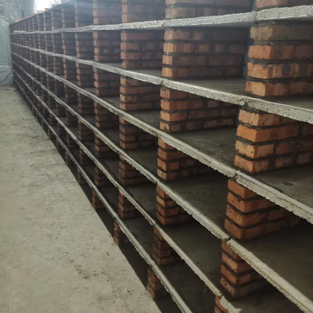 云耕时代白玉蜗牛养殖层次养殖模式