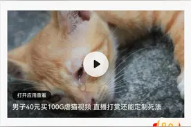 虐猫事件持续发酵，发展虐猫产业链，网友：动物保护法刻不容缓图片