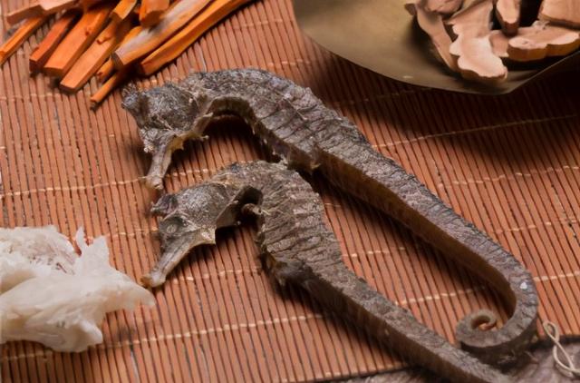 小孩子吃海马花胶 2025年小孩子吃海马花胶的好处