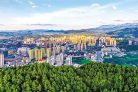 重庆南川：咬定目标  攻坚克难！努力推动工业招商引资取得更大成效图片