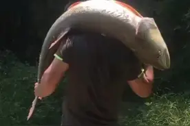 害鱼？广州增江1米多长的“水老虎”被钓起，老乡：专吃鱼虾图片